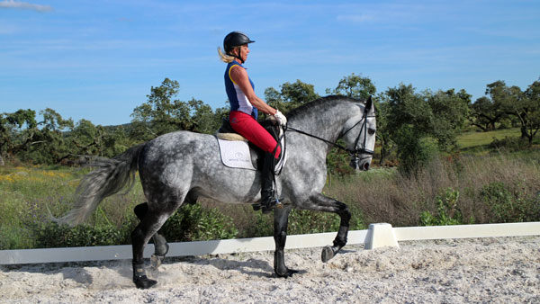 Allround training