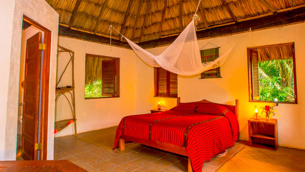Accommodation and Food