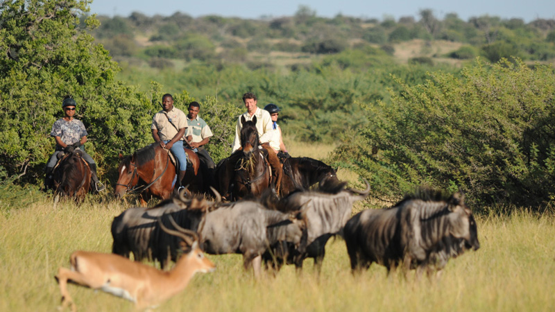 Botswana - Tuli Safari