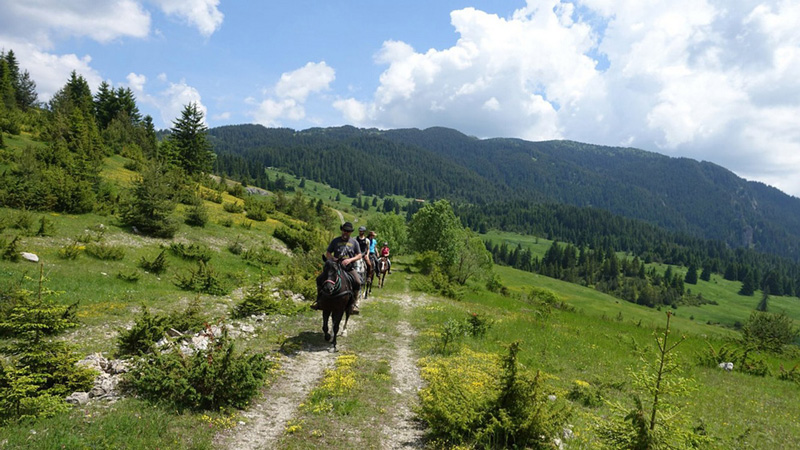 Bulgaria - Rodophe Mountains