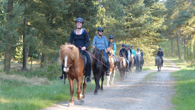 Denmark - Haervej Trail