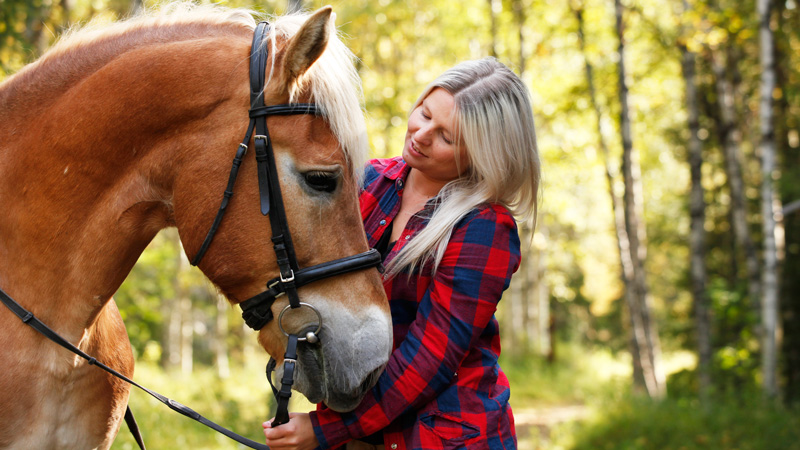 Finland - Finnish Lapland