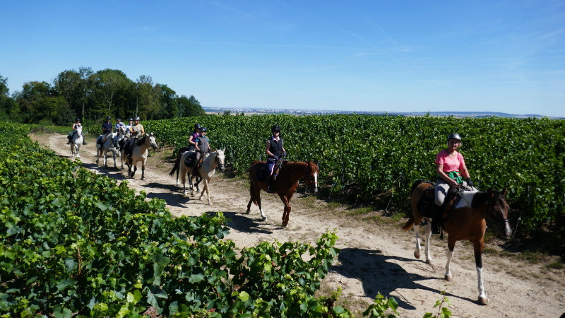 France - Sparkling ride  through the vineyards of Champagne