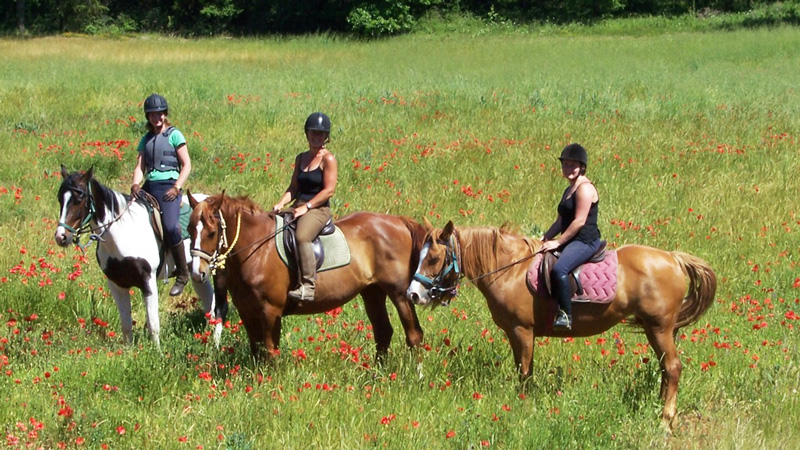 France, Lot Valley - Group with Nina Croft 28 May - 1 June 2025