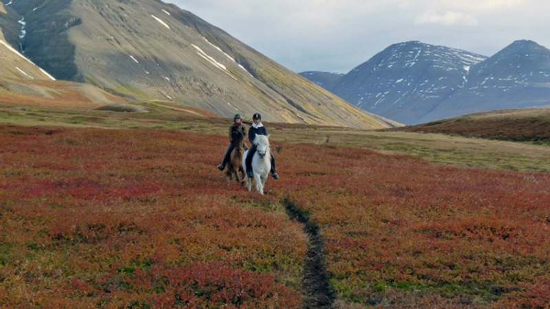 Iceland, North - Autumn Colours and Nothern Lights