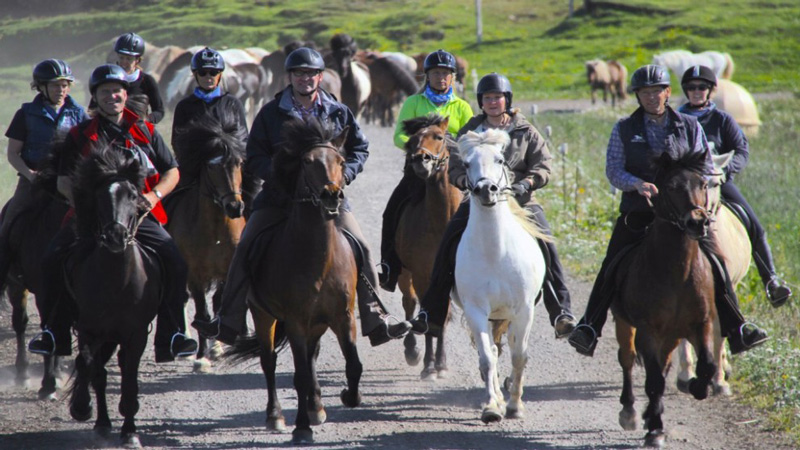 Iceland - North Iceland Trail Ride