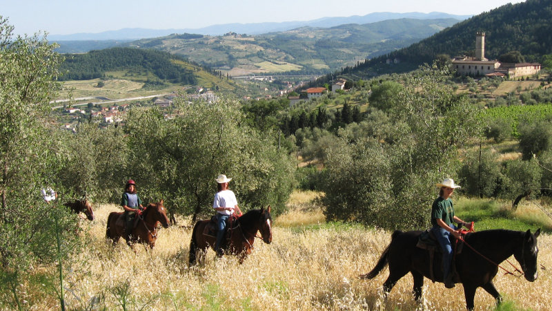 Riding holiday | Western Ridning | Italy | Horse riding holiday