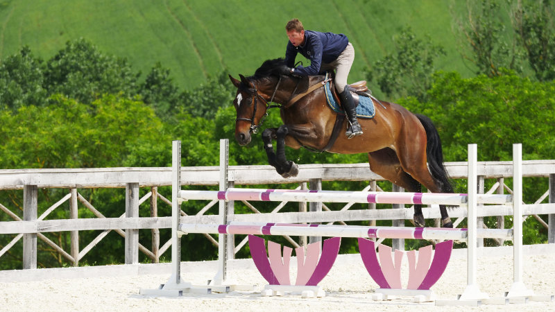 Italy, Marche - Top class show jumping training