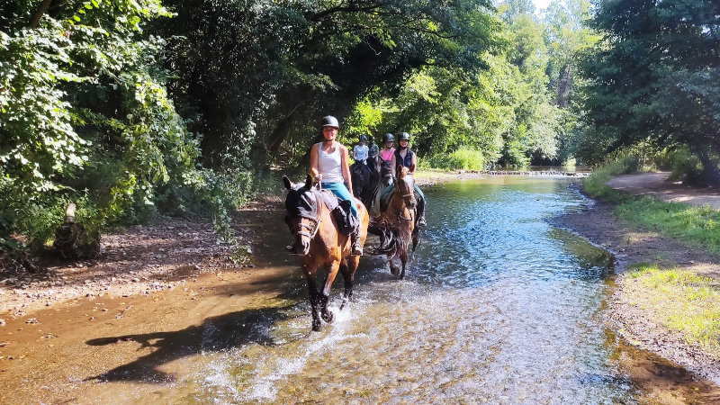 Italy, Tuscany - Maremma Centre Based Trail Ride