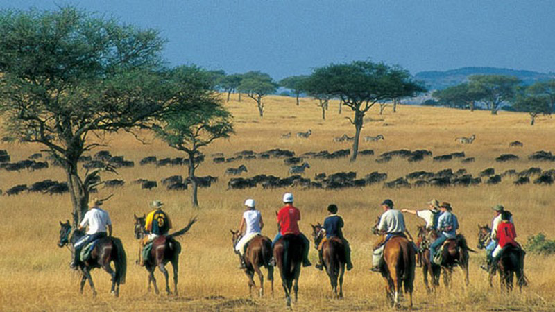 Kenya - Riding Safari Seven Nights