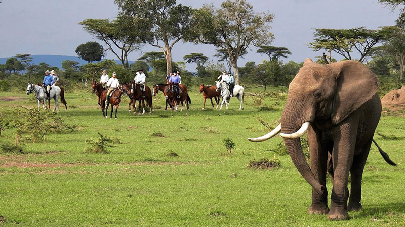 Kenya, Masai Mara