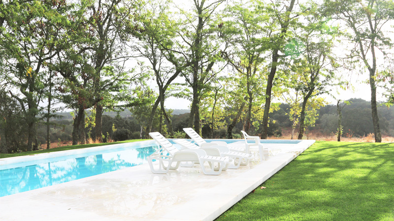 Avis Space Pool Portugal Dressage Riding Holiday Horsexplore