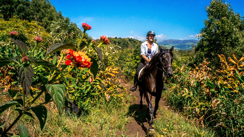 Azores, Sao Miguel - Riding in a Tropical Landscape