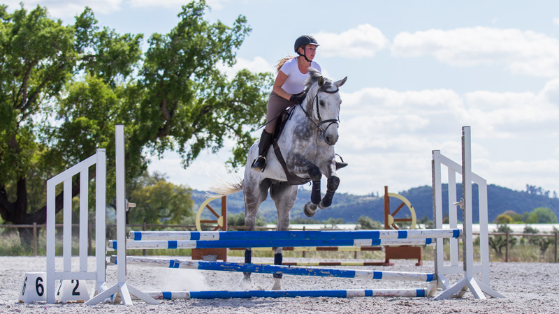 Portugal, Golega - Dressage or Showjumping