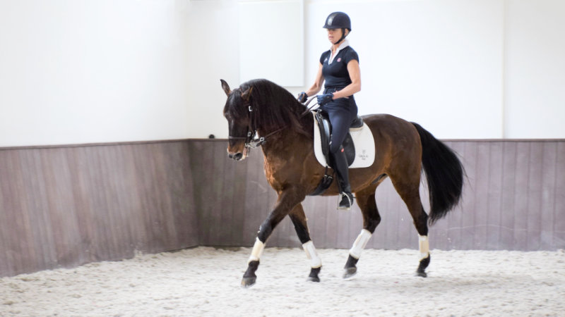 Portugal, Lourinh - Dressage close by the Sea    