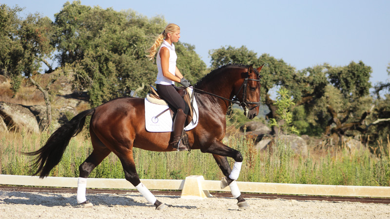 Portugal - Dressage in Alentejo