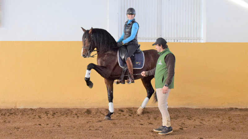 Portugal, Santarem - Dressage & WE 