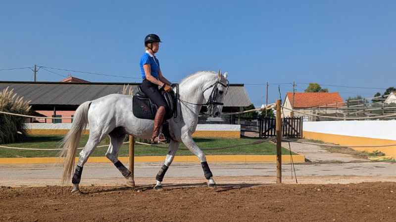 Portugal, Santarem - Dressage & WE 