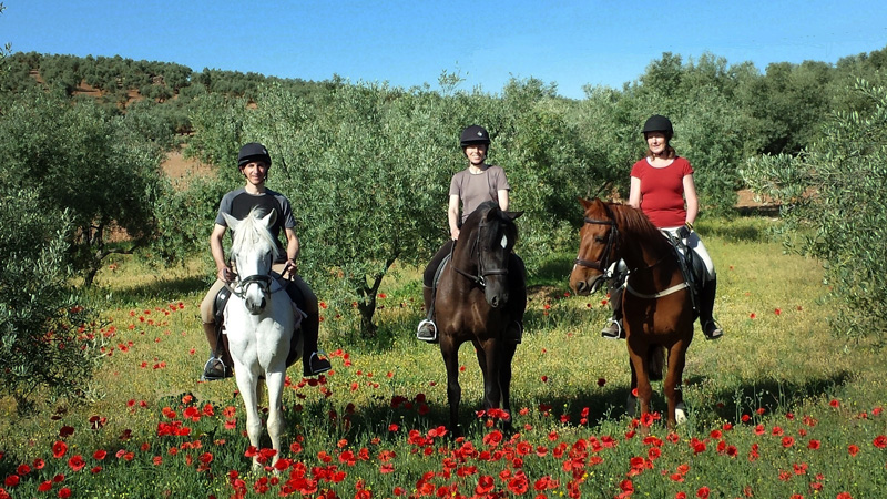 Spain, Malaga  Countryside Rides and Dressage Lessons