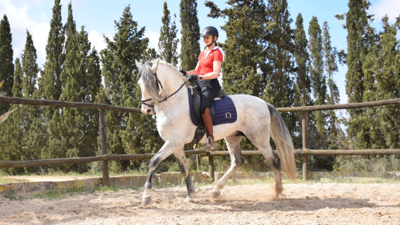 Spain, Mallorca  Dressage, Jumping & Trail Rides