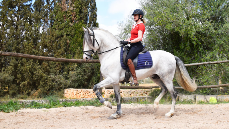 Spain, Mallorca - Dressage & Countryside Ride