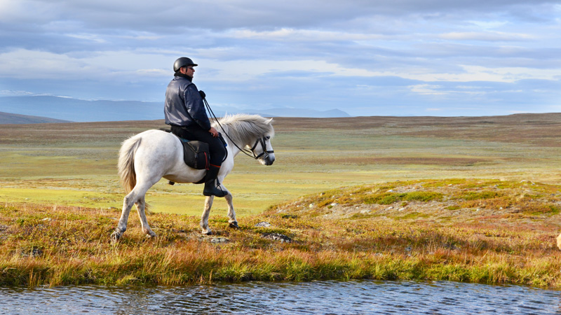 Sweden, Lapland - Biellugis Trail (5 days)