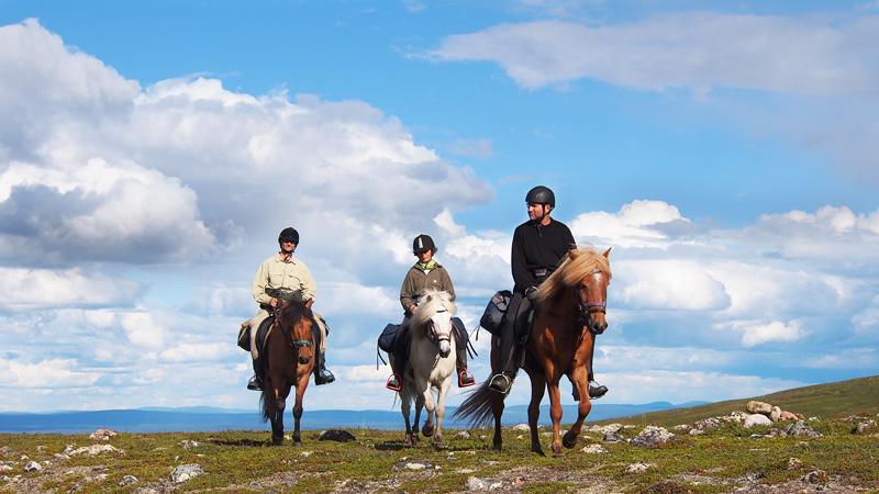 Sweden, Lapland - Feel good on horseback in the mountains of Kebnekaise (4 days)