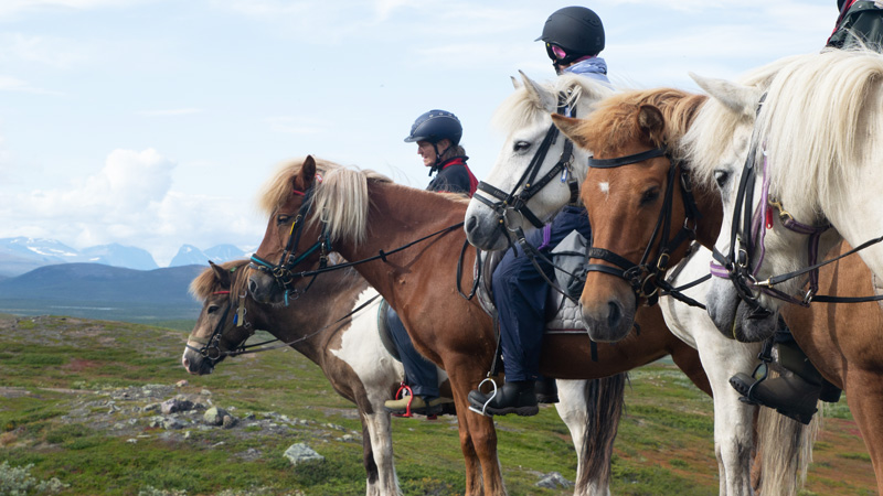 Sweden, Lapland - Ratekjokk Trail (7 days)