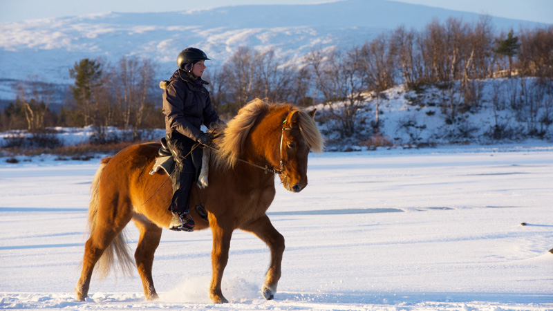 Sweden, Lapland - Winter adventure (4 days)