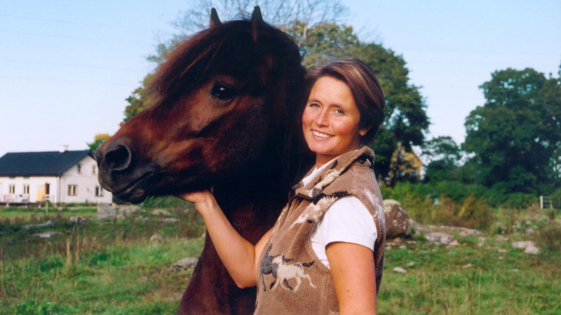 Sweden, Riding Icelandic Horses in Roslagen