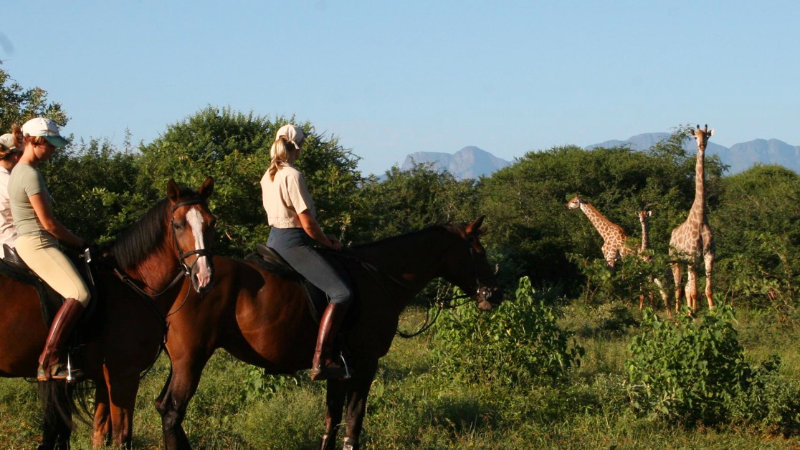 South Africa, Karongwe Nature Reserve