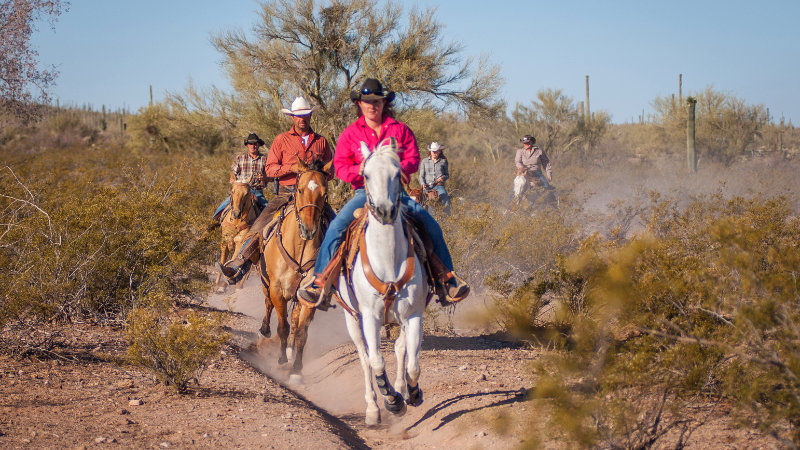 United States, Arizona  Cowboy in the Wild West