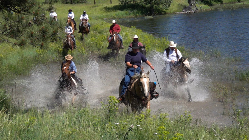 USA, Wyoming - Black Hills