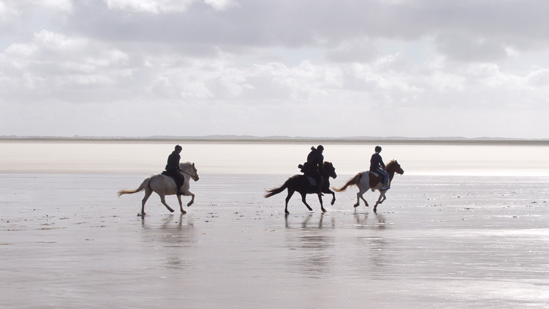 Denmark, Rm - 3 islands trailride  Rm, Mand and Koresand  experienced riders