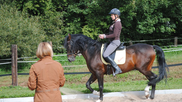 Classical dressage