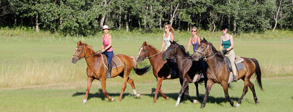 trail riding tack