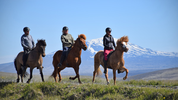 Hekla Mini Trail