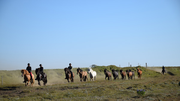 Hekla Trail Ride