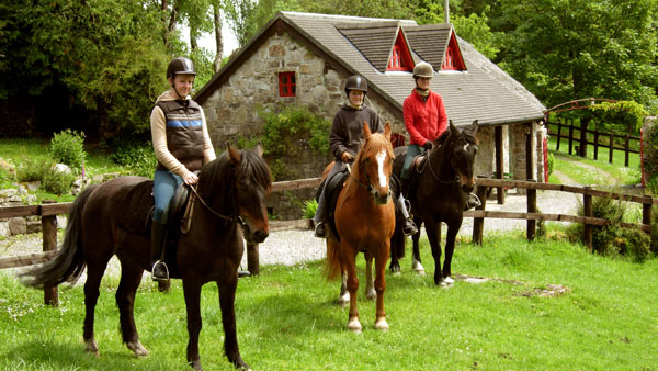 Irland, Clare - Equestrian Center Program