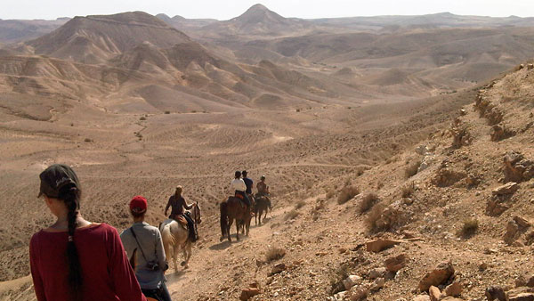 Tour Israel 