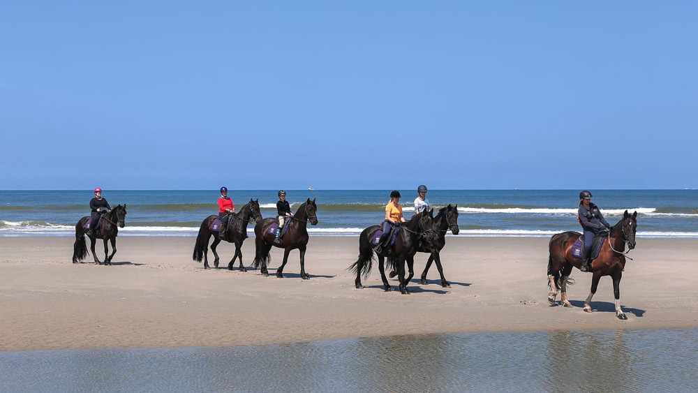 Netherlands, Terschelling