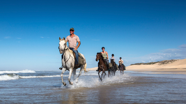South Africa Port Elizabeth Beach Ride Sunshine Coast South Africa Port Elizabeth Beach