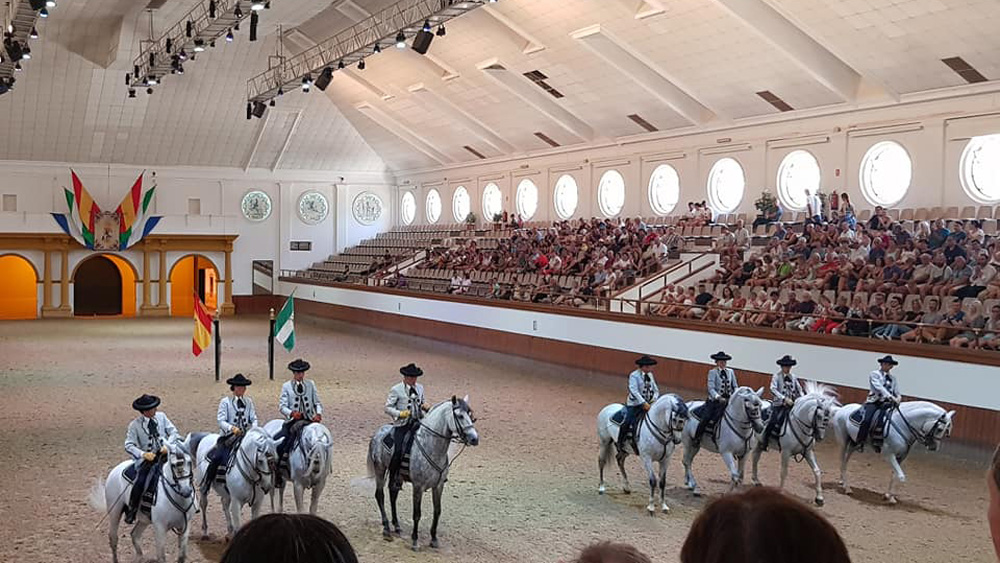 Spain, Costa de la Luz - Beach Ride and Royal Andalusian School of Equestrian Art in Jerez