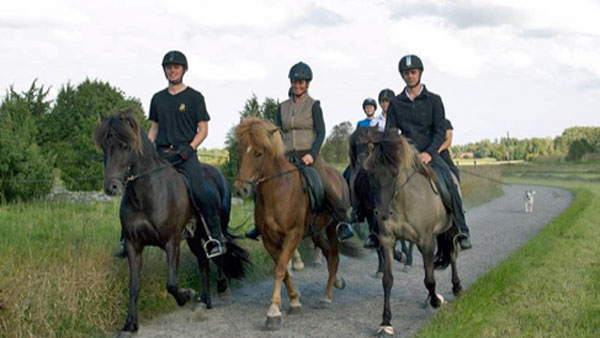 Sweden, Roslagen - Summer Ride