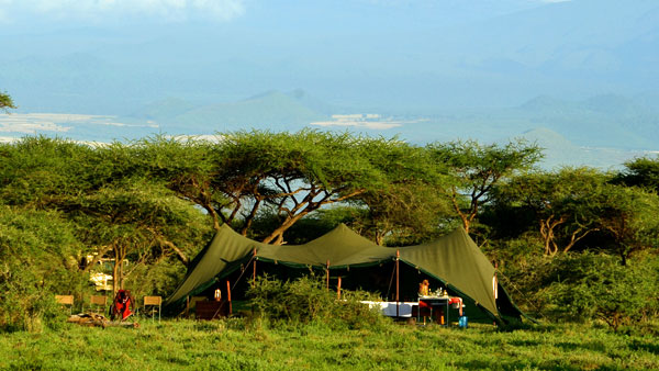 Accommodation and Food