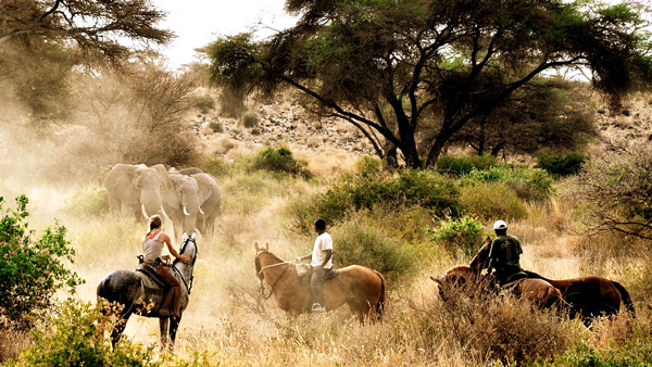 Horse Riding Safari- Africa - Timeless Africa Safaris